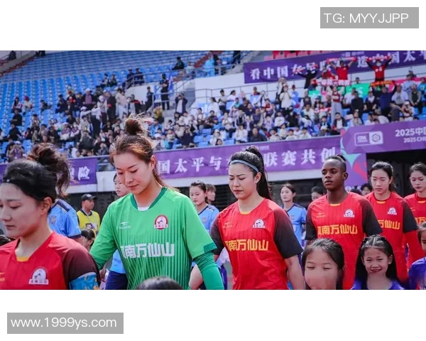 四川籍女足球员数量与代表性球员分析